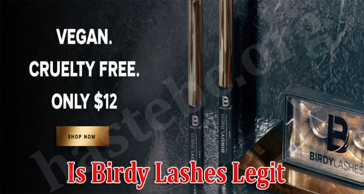 Birdy Lashes Online Website Reviews