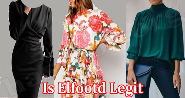 Elfootd Online Website Reviews