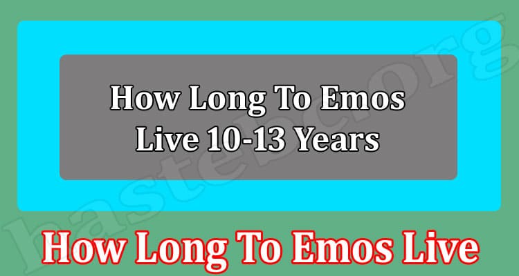 Latest News How Long To Emos Live