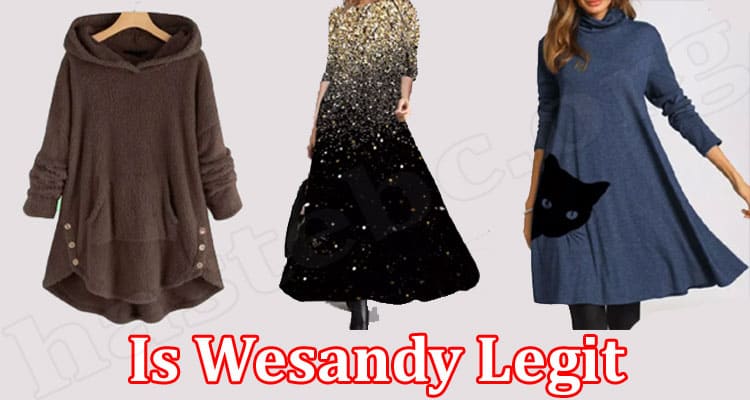 Wesandy Online Website Reviews