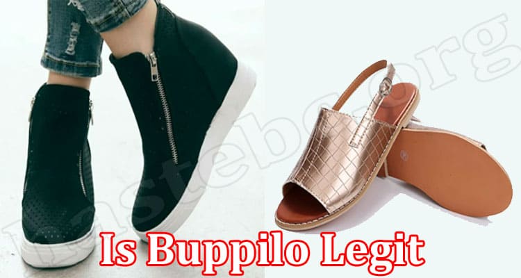 Buppilo Online Website Reviews