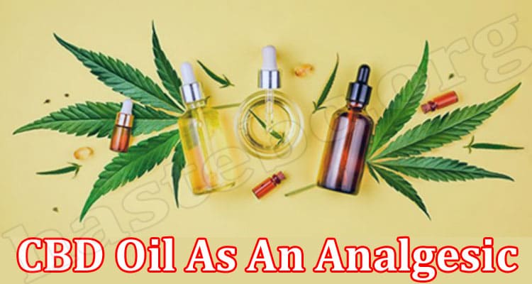 Latest News CBD Oil As An Analgesic