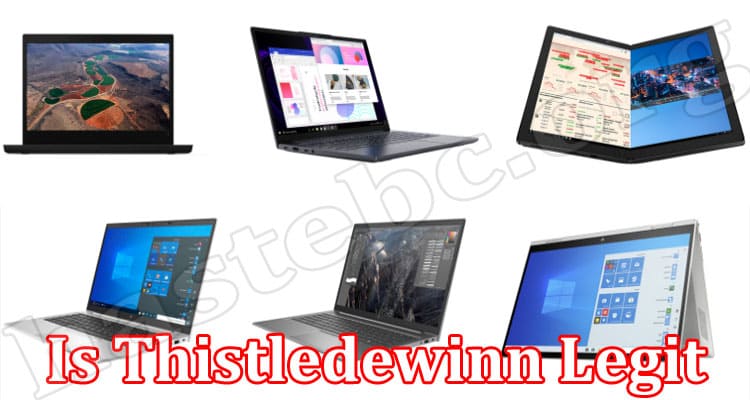 Thistledewinn Online Website Reviews