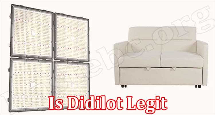 Didilot Online Website Reviews