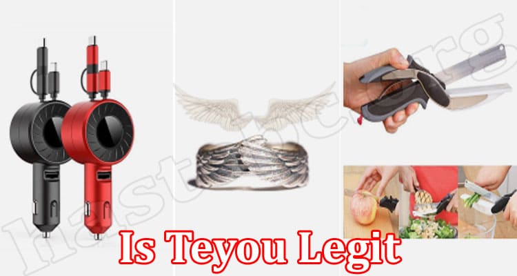 Teyou Online Website Reviews