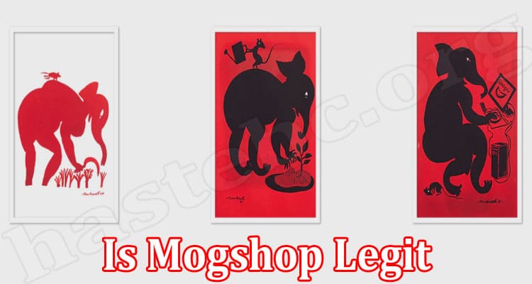 Mogshop Online website Reviews