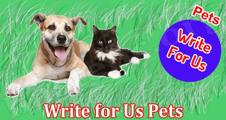 About General Information Write For Us Pets