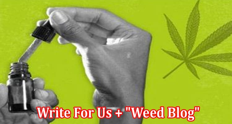 About General Information Write For Us + Weed Blog