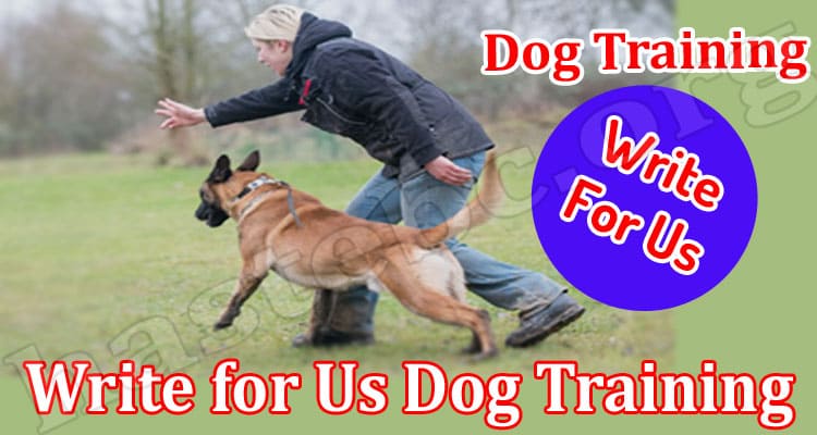 About General Information Write for Us Dog Training