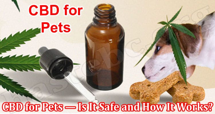 Complete Information CBD for Pets