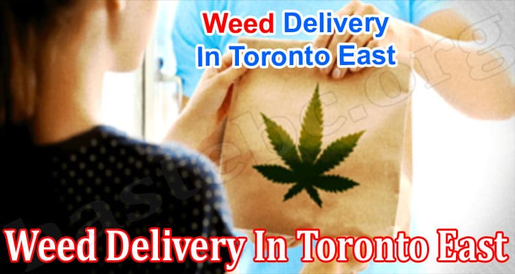 Weed Delivery In Toronto East Everything You Need To Know