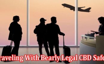 Top 3 Tips for Traveling With Bearly Legal CBD Safely