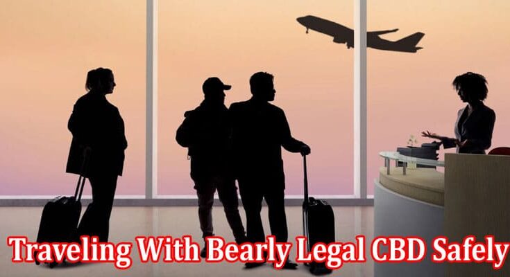 Top 3 Tips for Traveling With Bearly Legal CBD Safely