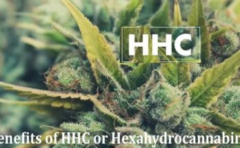 Complete Information About Benefits of HHC or Hexahydrocannabinol