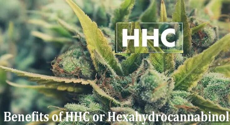 Complete Information About Benefits of HHC or Hexahydrocannabinol