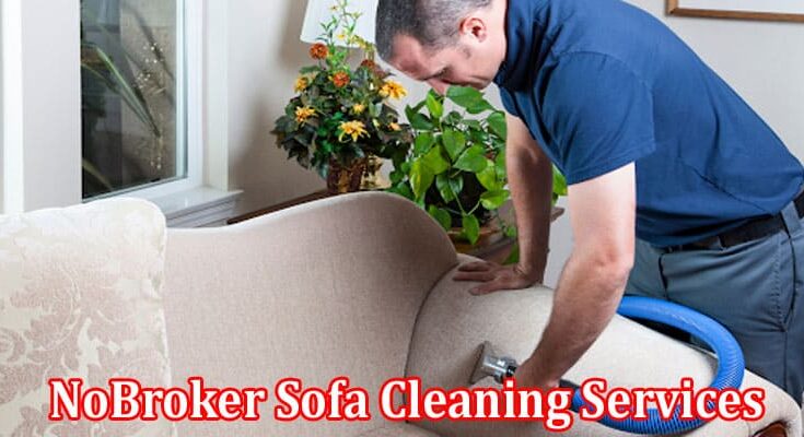 Complete Information About NoBroker Sofa Cleaning Services Review Delhi