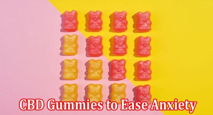 Complete Information About Why U.S Veterans are Turning to CBD Gummies to Ease Anxiety