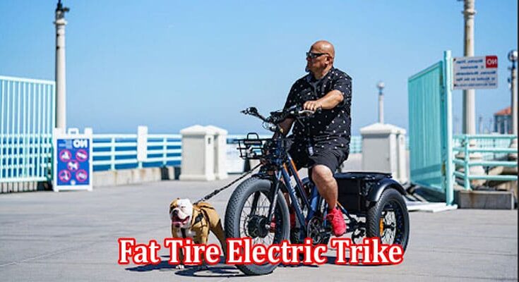 Fat Tire Electric Trike A Good Healthy Option for Seniors