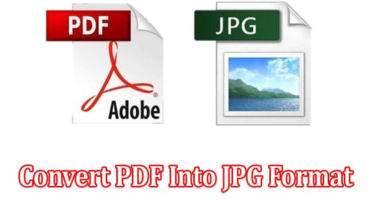 Top 5 Steps to Convert PDF Into JPG Format