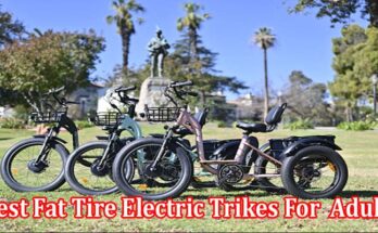 Top Best Fat Tire Electric Trikes For  Adults