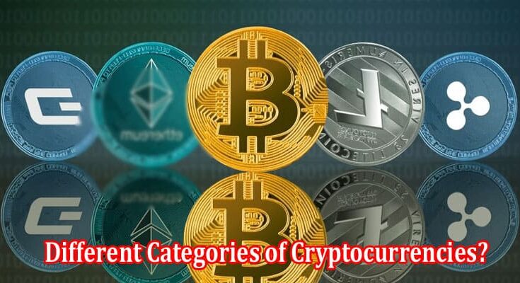 What Are the Different Categories of Cryptocurrencies