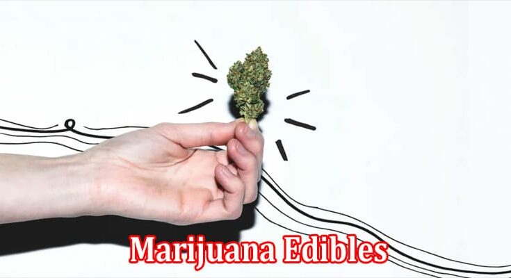 Complete Information About A Beginner’s Guide Things You Need to Know About Marijuana Edibles