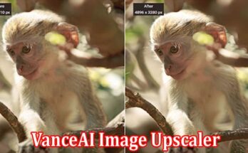 Complete Information About VanceAI Image Upscaler The Best Option for Photo Enlargement