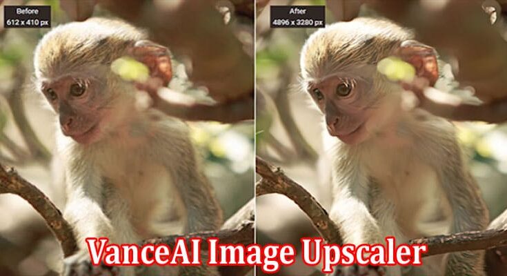 Complete Information About VanceAI Image Upscaler The Best Option for Photo Enlargement