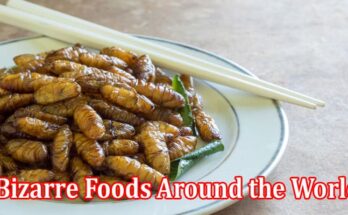 Complete Information Bizarre Foods Around the World