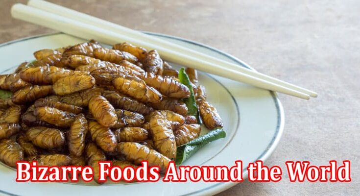 Complete Information Bizarre Foods Around the World