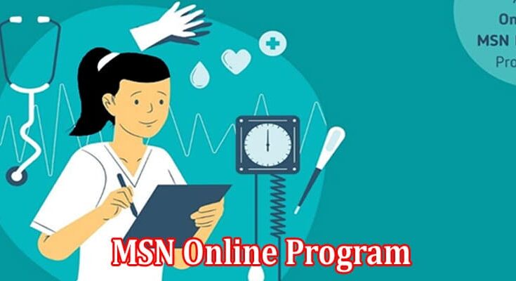 Complete Information About 6 Essential Skills You Can Learn in an MSN Online Program