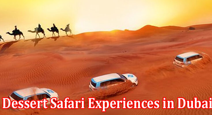 Complete Information About A Photo Journey of the Best Dessert Safari Experiences in Dubai