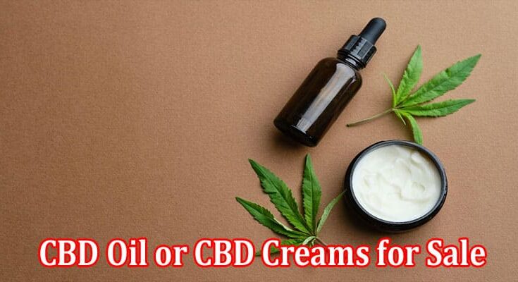 Complete Information About CBD Oil or CBD Creams for Sale -What’s the Best Option