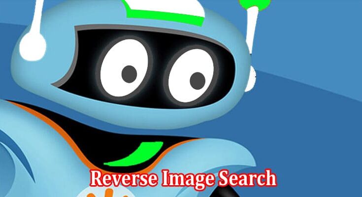 Complete Information About Reverse Image Search Can Help You Find Original Photo Sources