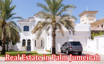 Complete Information About Sale of Luxury Real Estate in Palm Jumeirah