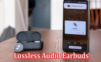 Complete Information About What to Look for When Choosing Lossless Audio Earbuds