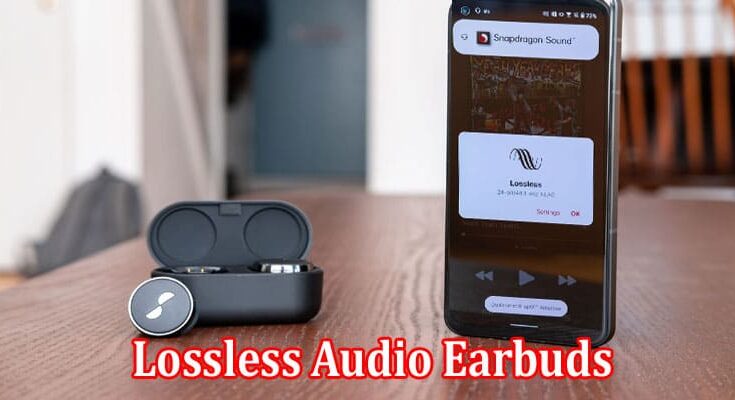 Complete Information About What to Look for When Choosing Lossless Audio Earbuds