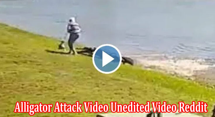 Latest News Alligator Attack Video Unedited Video Reddit