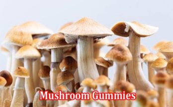 Mushroom Gummies Effects, Common Uses and Safety.