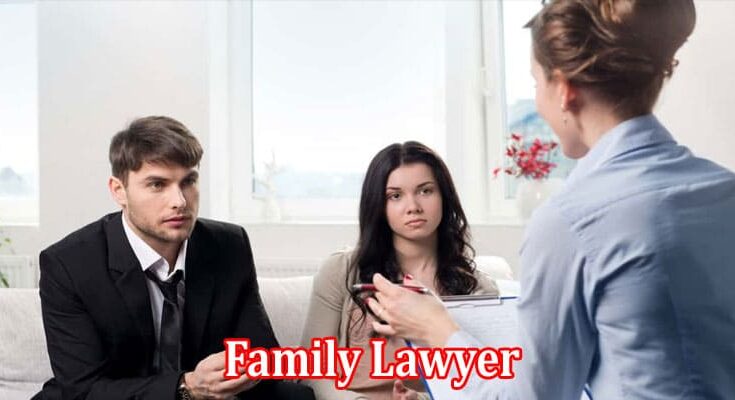 Complete Information About 10 Qualities That You Should Look for When Getting Your Family Lawyer