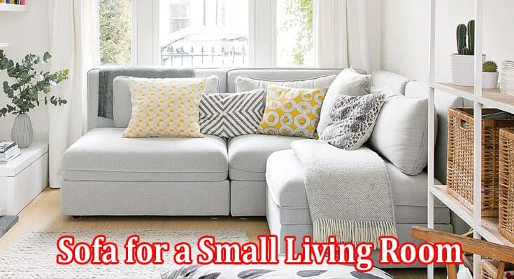 Complete Information About 7 Ways to Choose Sofa for a Small Living Room