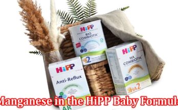 Complete Information About Importance of Manganese in the HiPP Baby Formula