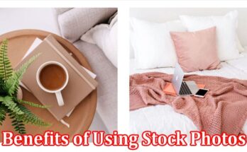 Complete Information About The Benefits of Using Stock Photos in Your Blog Content