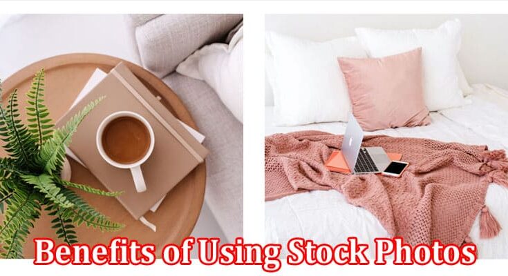 Complete Information About The Benefits of Using Stock Photos in Your Blog Content