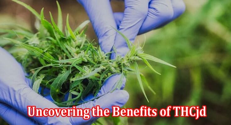 Uncovering the Benefits of THCjd The Rare Cannabinoid You Need to Know About