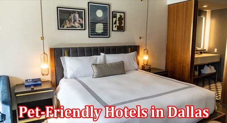 Complete Information About Top Amenities to Look For in Pet-Friendly Hotels in Dallas