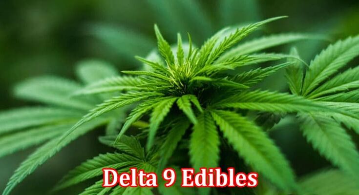 Complete Information About What Are the Qualities That Make Delta 9 Edibles Special