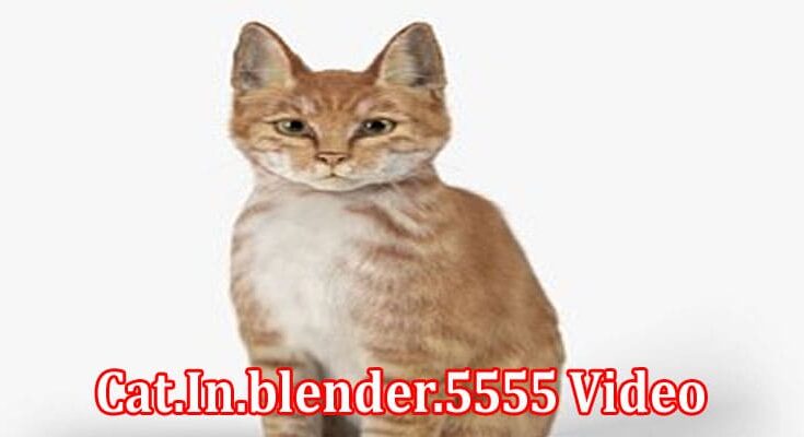 Latest News Cat.in.blender.5555 Video