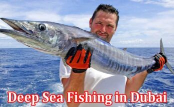 Complete Information About Exploring the Depths of the Arabian Sea With Deep Sea Fishing in Dubai