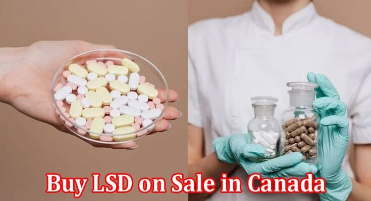 Complete Information About How to Buy LSD on Sale in Canada